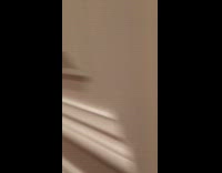 Orange cat purr other one inside bag