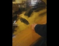 Man bait fish to bite his finger