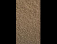 Dog bark at camera peeking behind wall