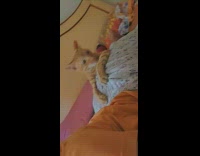 Orange cat lays on butt girl bed 