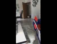 Brown cat blue orange toy gun dart 