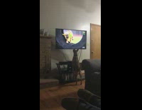 Brown dog standing up on TV stand watching dog competition on tv