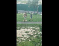 Collab WINY - Guy wear cardboard boxes like armor park