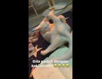 BitchMP - white cat kicks its face