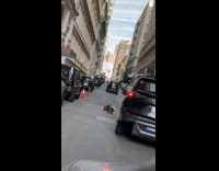 Collab WINY - Homeless guy sleeps in the middle street part 1