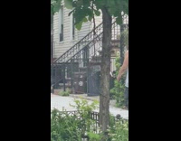 Man walks down sidewalk with snake on his shoulder 