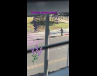 People photo shoot violet bloom trees sidewalk