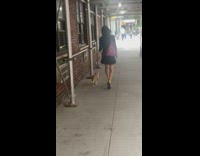 Woman in black dress walks cat