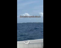 Collab ClipsIG - Woman on boat fishing saw Epstein Island