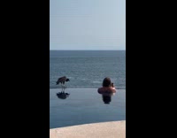 Man selfies with bird on the poolside