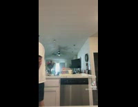 Guy in kitchen moving grey cat around not reacting