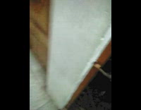 Guy lock gate dog on stairs look