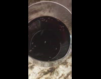 Bugs inside of coke wine dark drink clear cup