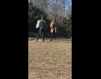 Guy wears grey pigeon costume mask park 