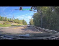 Car makes u turn to get turtle