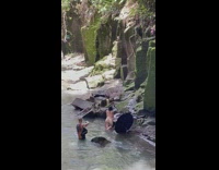 Woman bikini bend over on rock waterfalls