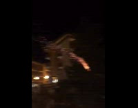 Guy holds a lit firework in his mouth and it goes off into tree