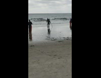 Black shorts guy beach shore metal detector 