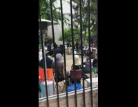 Gothic DJ Plays for Group of People 