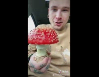 Guy finds large red mushroom by road 