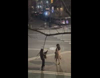 Fashionable Lady in Boots Poses on Street