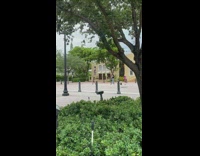 Black pink leggings girl dances music video