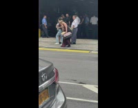 Lady walks two ferrets on leashes down sidewalk
