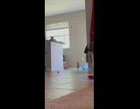 Hockey guy shoots ball at cat 