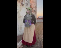 Frog Lady Mandalorian costume