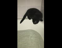 Collab BitchMP - Black cat bath tub stuck