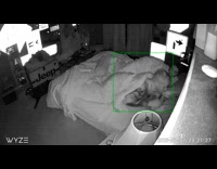 Man sleepwalking jolted up and ran