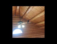 Falcon bird ride ceiling fan inside house