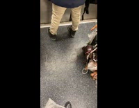 Various animal figurines tied to bag subway 