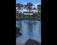 Big Swell Coming Through Guy Surfs Onto Lake