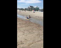 Blue Shorts Rides Yellow Skim Board On Beach and Falls Down
