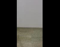 Girl walks down stairs sees black cow 
