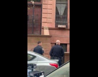 Wild opossum climb on apartment gate grills