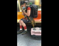 Guy Holds Two Pet Ferrets on Subway 