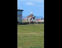 DJ man films with tripod at field