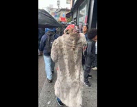 Guys walks around with racoon on shoulder part 2