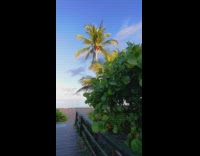 Morning Walk on Pathway to White Sand Beach