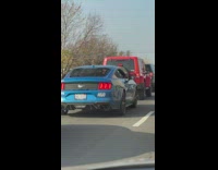 Dog sleeping paw out of window of car 