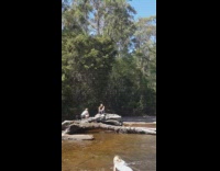 two girls dead logs on river