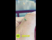 Green caterpillar worm bug hand dances wiggles 