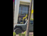 Man gray top window glass pictorial car