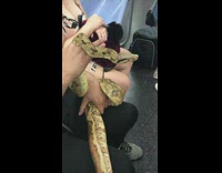 Person holding pet snake on subway train