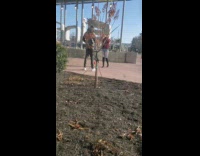 Guy takes photo outside