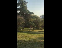 Woman backless top dance turn around park