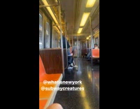 Collab Subway Creatures - Man brown hat do pull ups in train