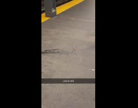 Piles of poop subway train station stairs